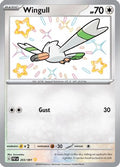 Wingull 203/091 [SV Paldean Fates]  - Holofoil