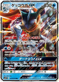 Greninja GX (013/024) [JP smP2 Great Detective Pikachu] Holofoil